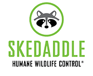 Skedaddle Humane Wildlife Control