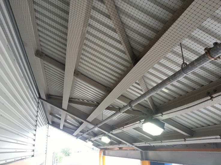 How To Keep Birds Away Skedaddle Humane Wildlife Control Bird Netting