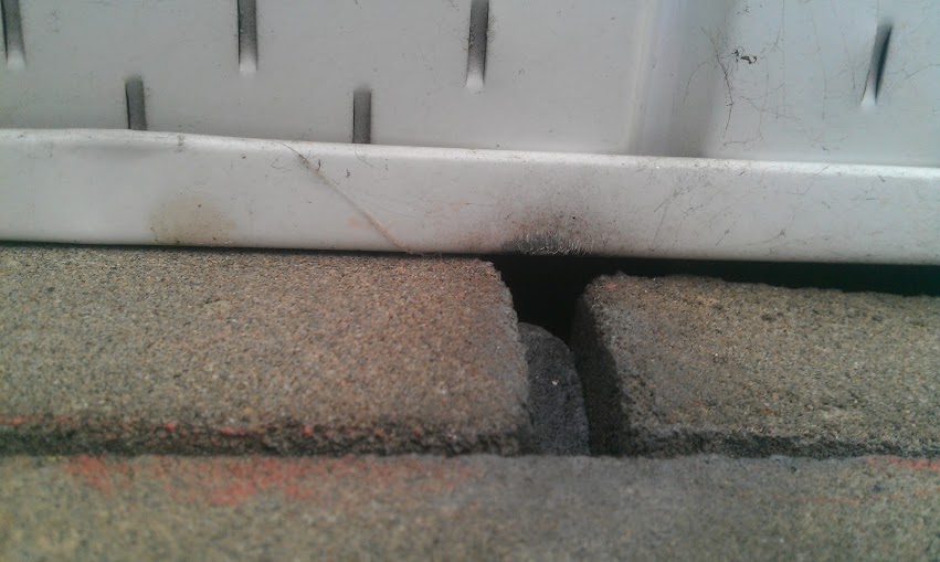 How Mice Get Into Houses