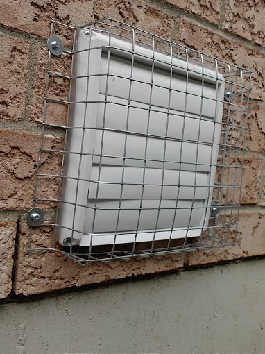 squirrels squirrel keep vent entry prevent protect way protected