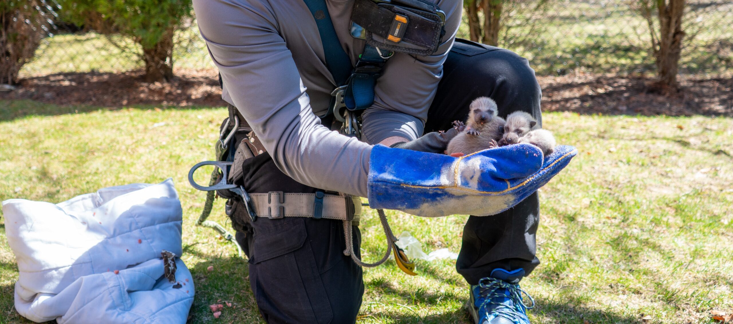 Why the Humane Approach Is Best for Wildlife