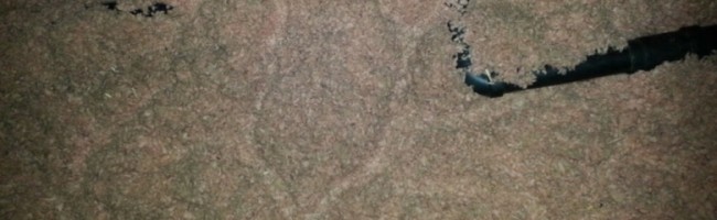 A series of mouse tunnels through this attic’s insulation.