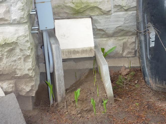 The 9-inch diameter of this vent opening was enough to allow both red squirrels and raccoons into the home