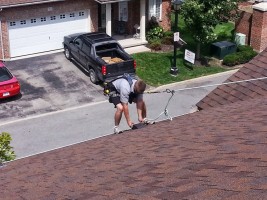 technician on rooftop_wildlife control