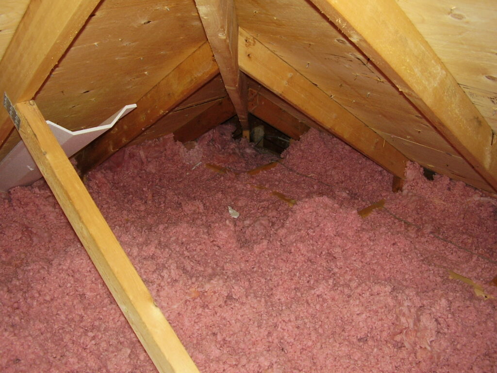Raccoons severely compacted this fibre glass attic insulation