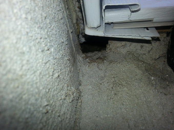 A small hole where the siding meetings the foundation is enough to allowing mice into the house