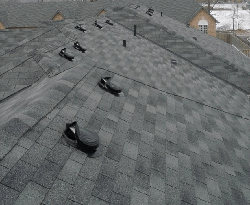 wildlife-proof-roof-vents