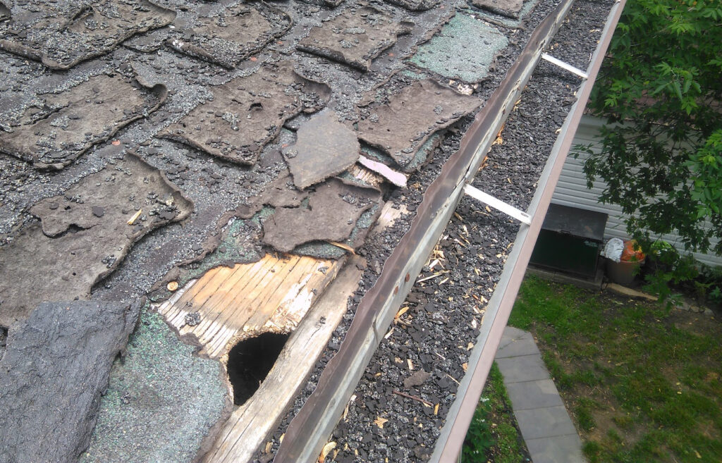 Damaged Shingles from Squirrels