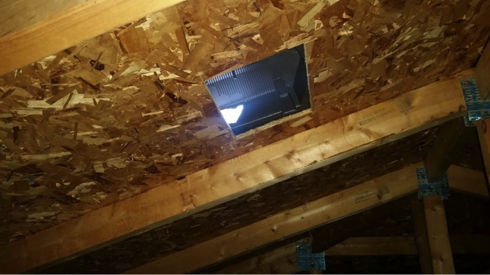 A view from inside the attic where squirrel chewing could soon lead to water damage