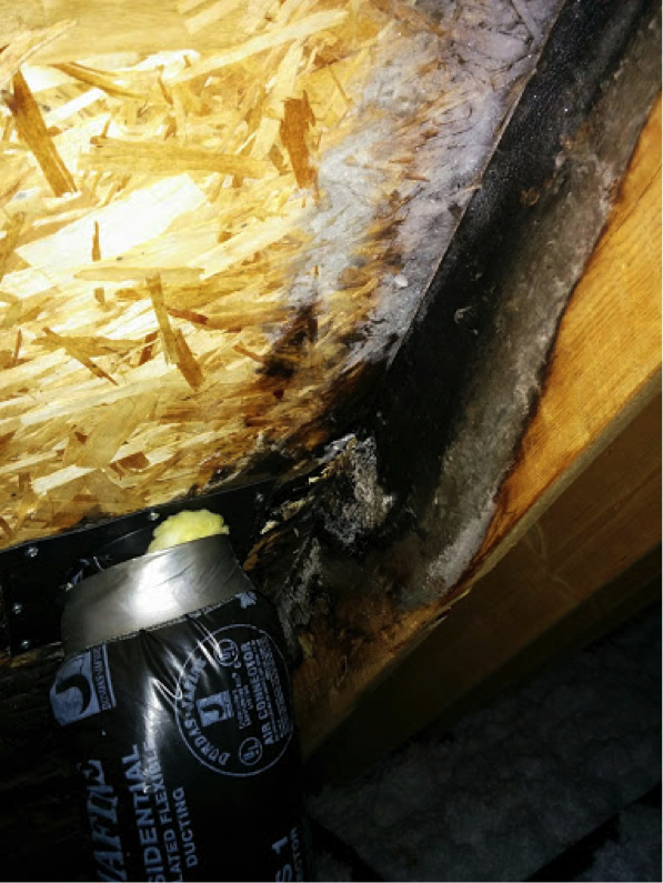 Black Mold & Roof Damage