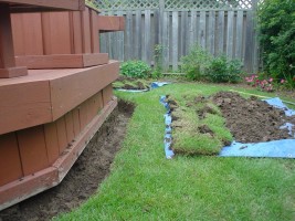 Skunk preventive trench