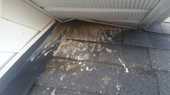 Starlings have nested in this soffit and their droppings have stained the shingles below.