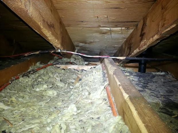 Attic wiring that has been chewed on by squirrels, causing a potential fire hazard. 
