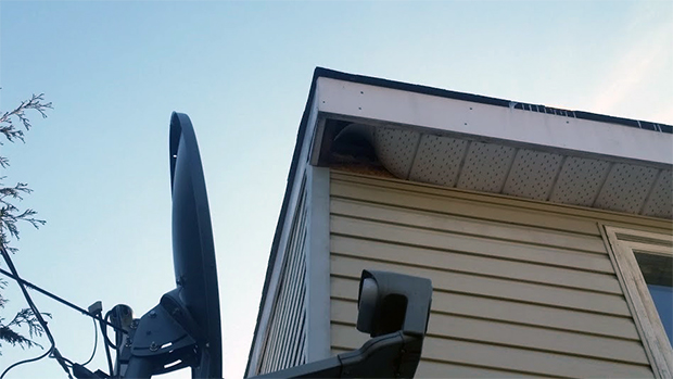Raccoons were able to scale the corner of this house, push in the soffit and enter the attic.