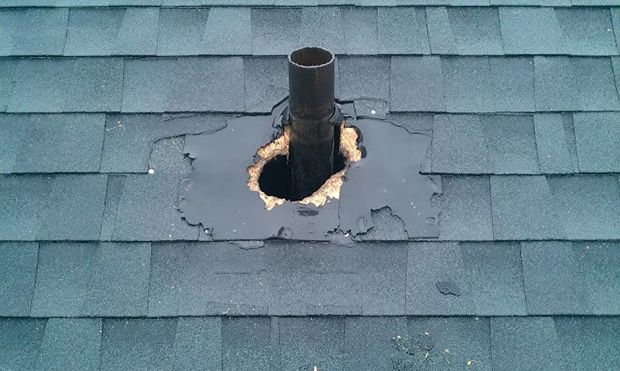 Squirrels chewed through these shingles and a plumbing matt on a Mississauga home to gain access to the attic. Once a squirrel is in your attic or home, the damage can be severe. 