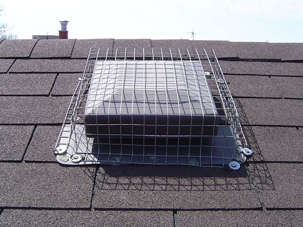 The roof vent screening Skedaddle Humane Wildlife Control installed will keep squirrels out- we guarantee it for life.