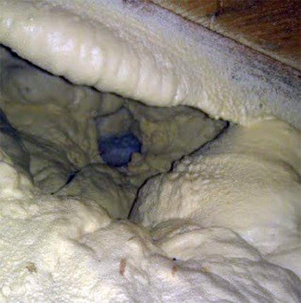 Flying squirrel nest. The squirrels actually carved out a perfectly circular cavity within the spray foam. The opening is about the size of a tennis ball, and the nest chamber is about the size of a volleyball.
