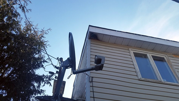 Raccoons were able to scale the corner of this house and push in the aluminum soffit in order to gain access to the attic