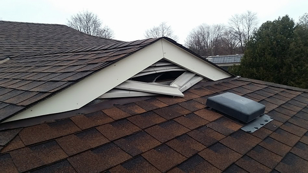 Raccoons damaged this gable vent to gain access to the attic