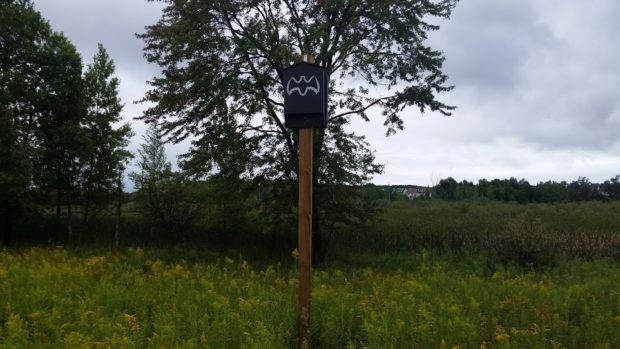 A bat house erected in an open space