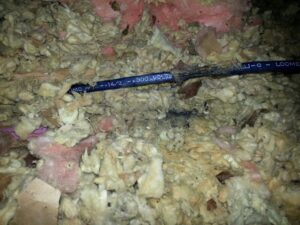 squirrel-damage-attic-wires-and-insulation