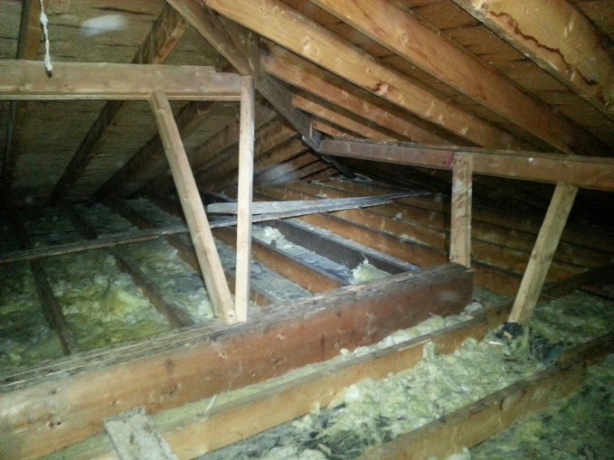 How to Get Rid of Mice in the Attic Insulation - Attic Insulation Toronto