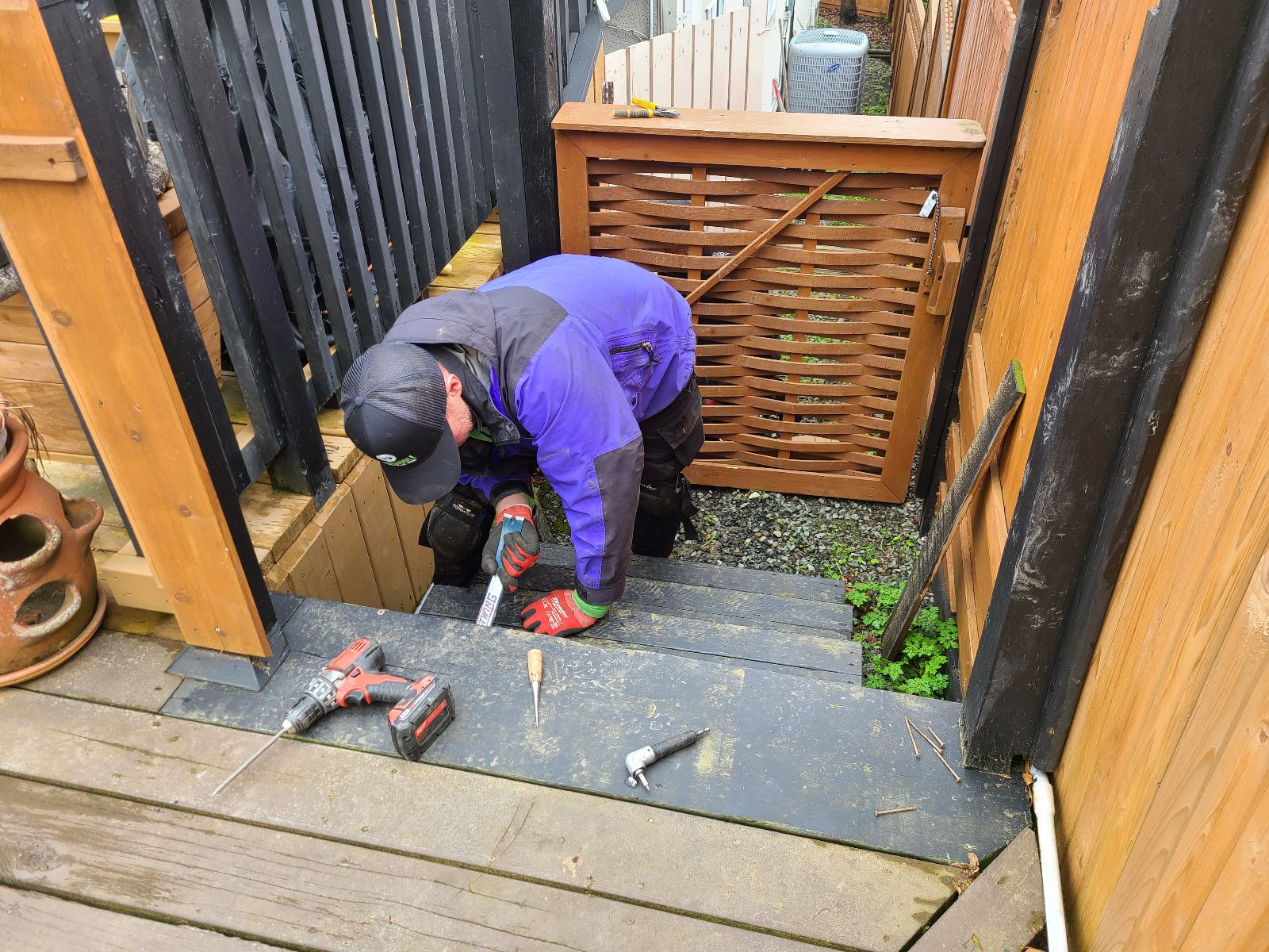3 Tips to Improve Your Wildlife Proofing Efforts