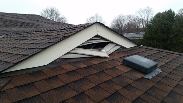 A gable vent torn open by raccoons.