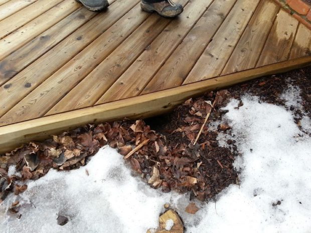 A skunk entry point to a den below a deck.