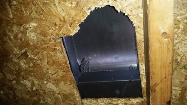 From the inside: Damage to roof board from chewing.