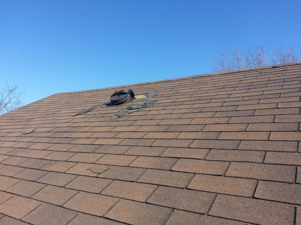 How To Get Rid Of Raccoons 8 Best Ways And Top 8 Products In 2020