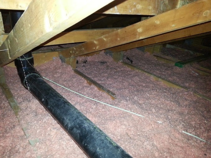 raccoon-activity-in-your-attic