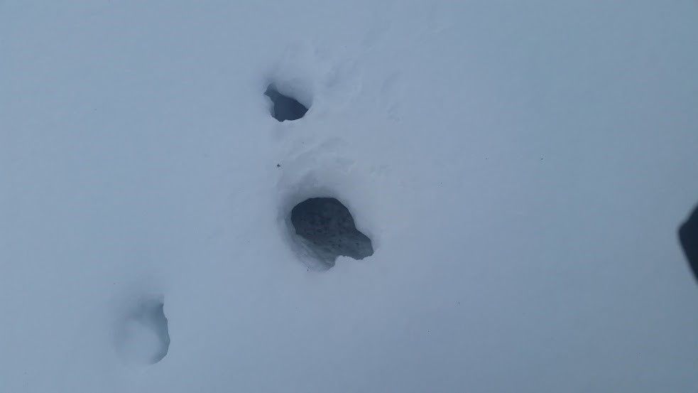 holes-in-snow