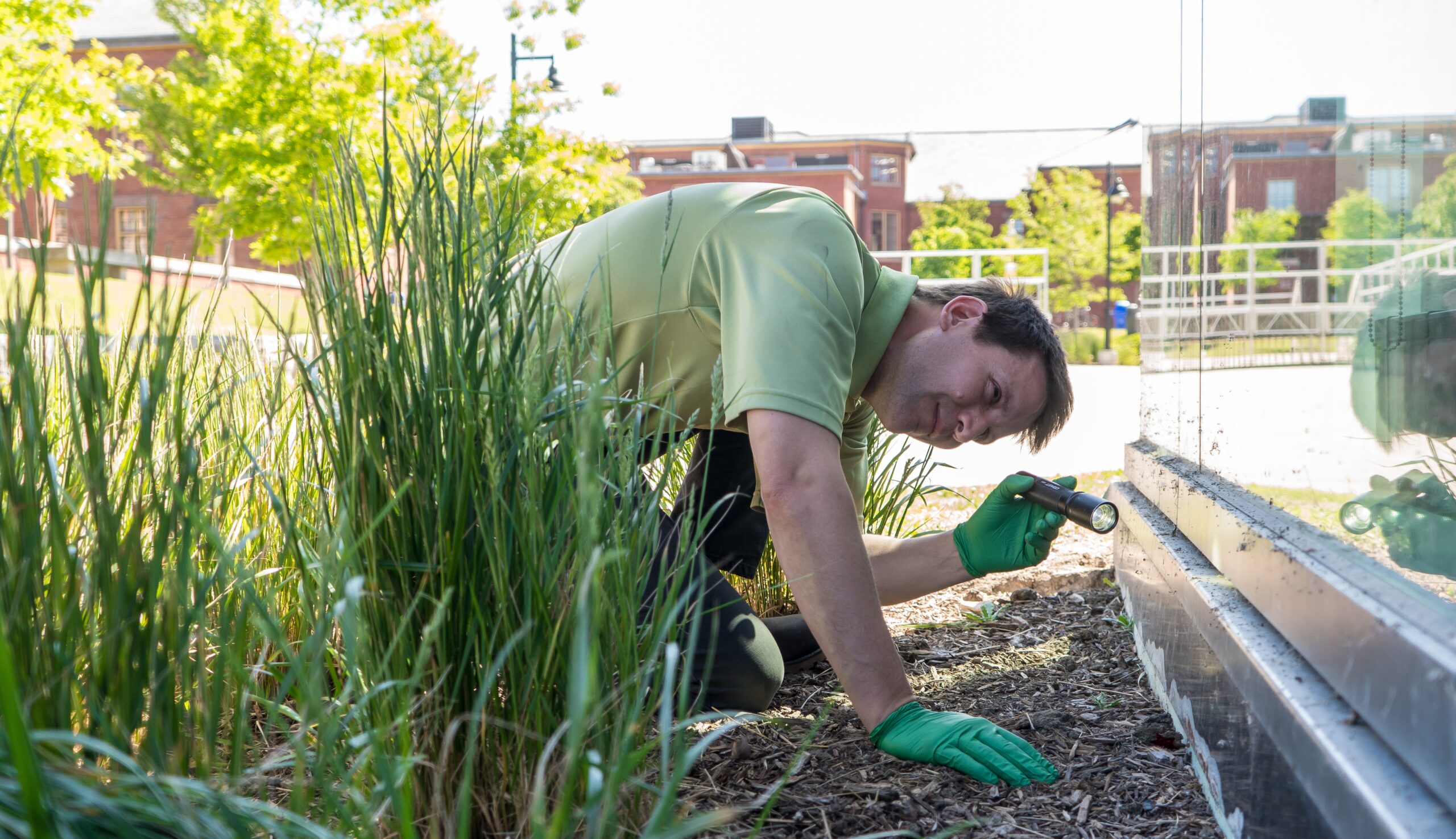 Effective and Humane Solutions for Managing Mouse Infestations