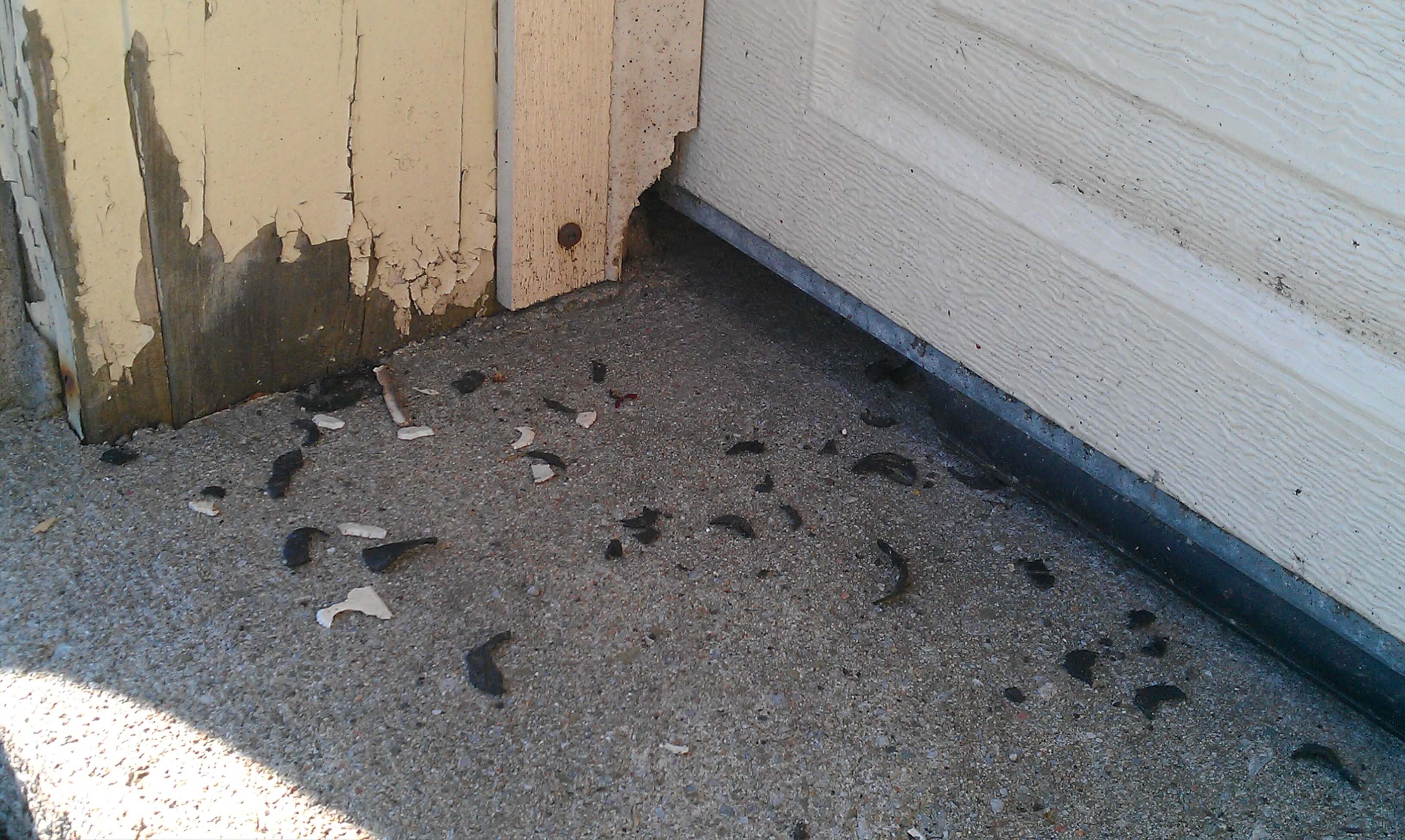 Achieve Mice Removal By Making Garage, How To Keep Mice From Eating Garage Door Seal