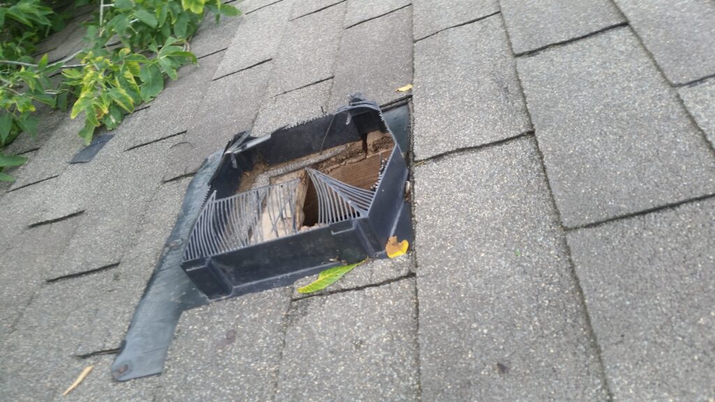 Plastic roof vents can be damaged by raccoons to allow them access into the attic