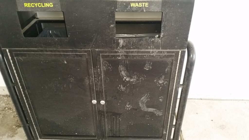 Raccoon paw prints on a public garbage receptacle