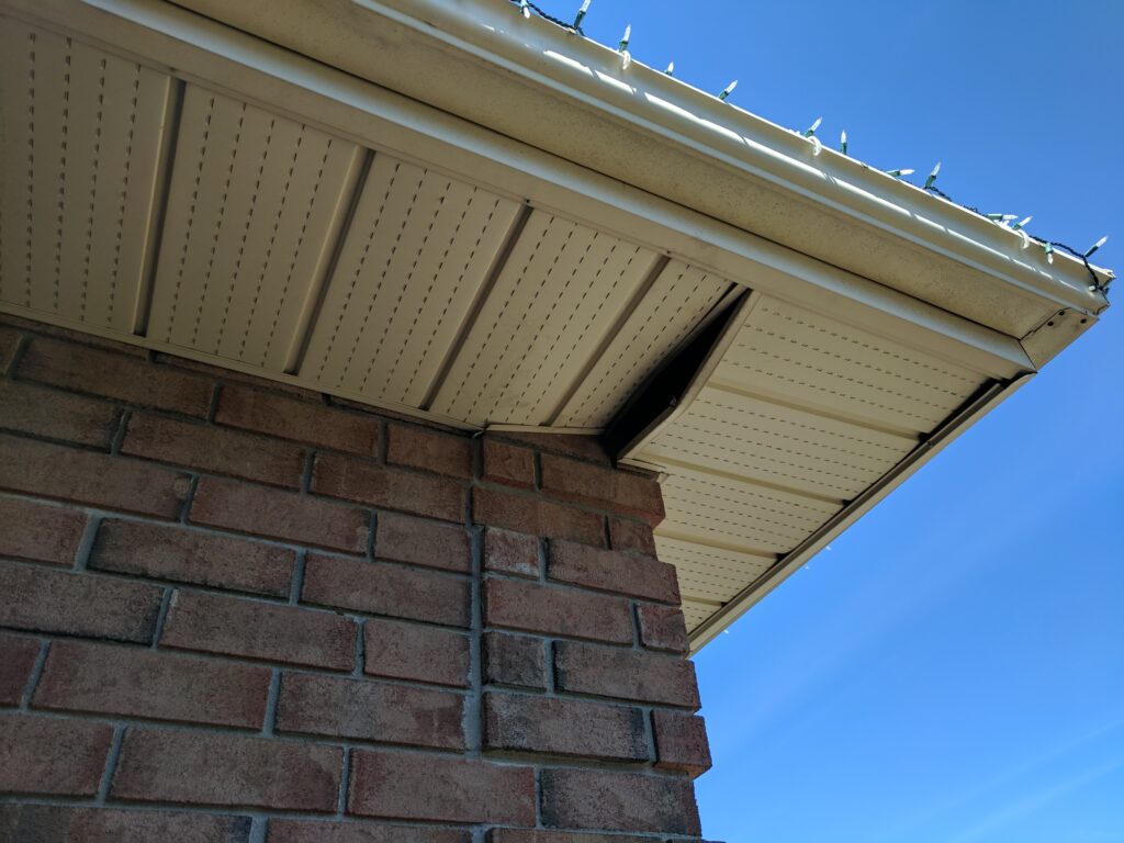 Raccoons climbed this brick corner to push in the aluminum soffit