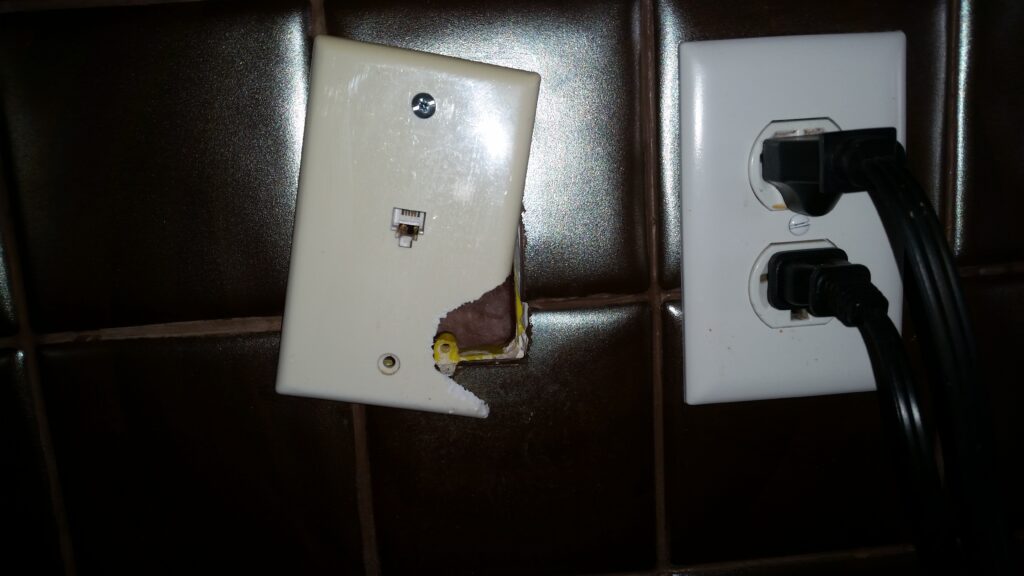 Rats chewed this switch plate cover to access the wall void behind