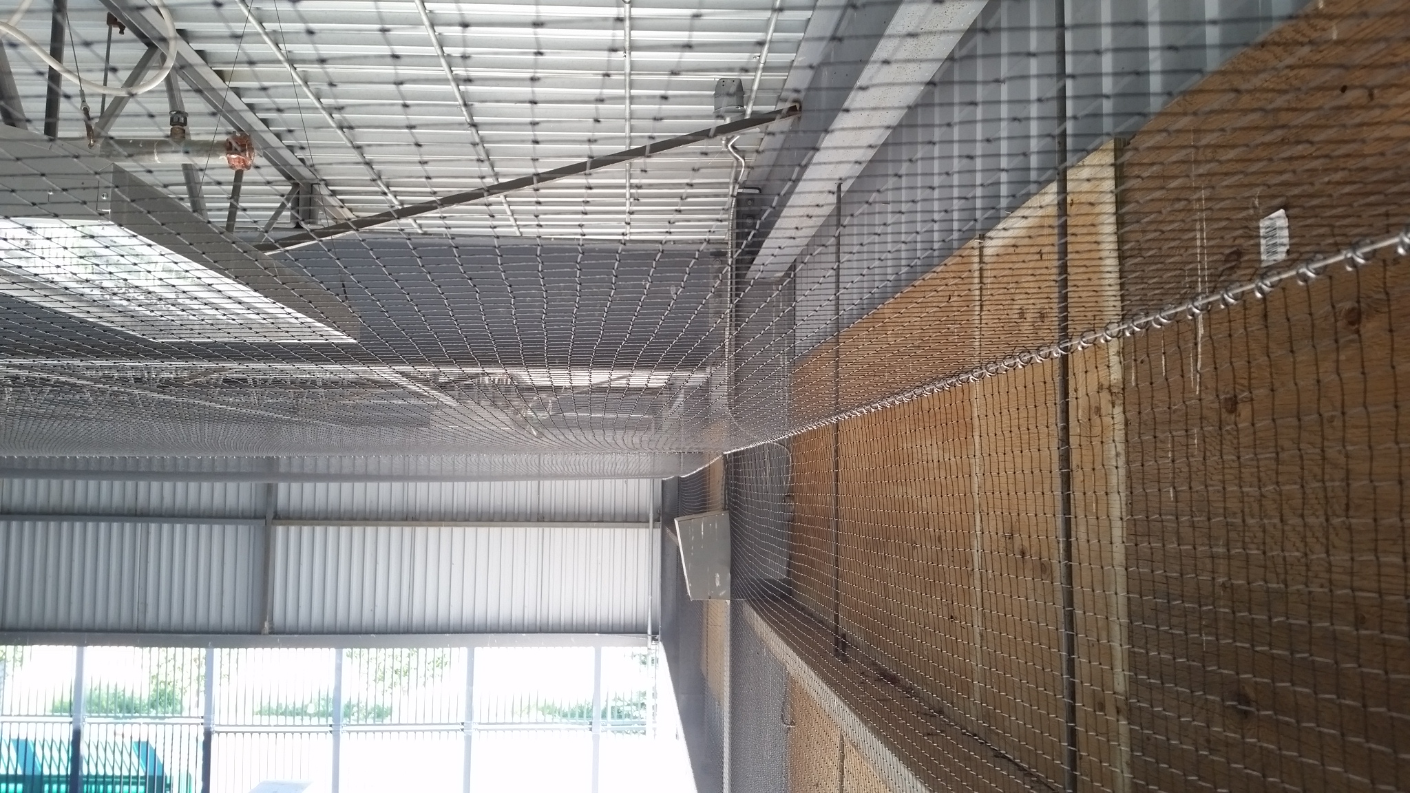 Protect Your Home This Summer With Bird Deterrent Products