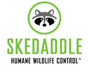 Humane Wildlife Removal & Trapping Service - Wildlife Removal Services