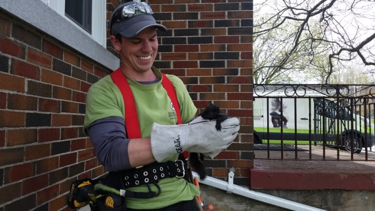 Canadian jobs wildlife technician