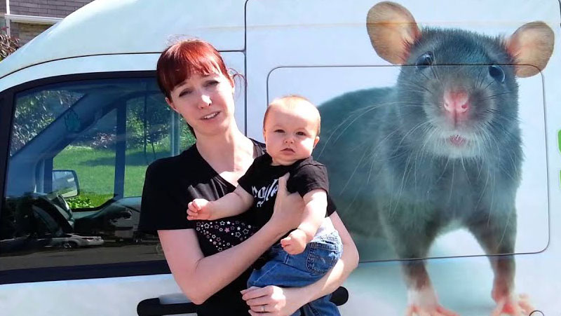 skedaddle humane wildlife control franchise skedaddle humane wildlife control franchise