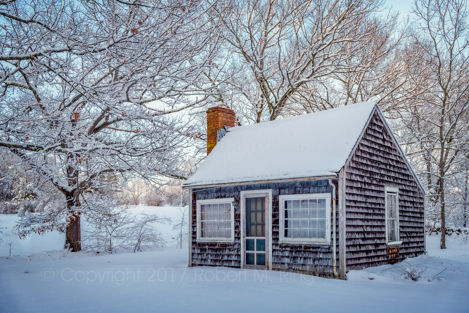 Keep Wild Animals Out of Your Shed This Winter Keep Wild Animals Out of Your Shed This Winter