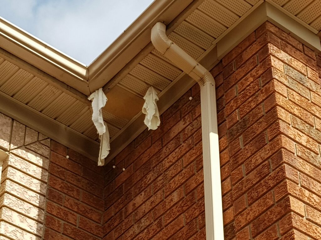 rags in soffit