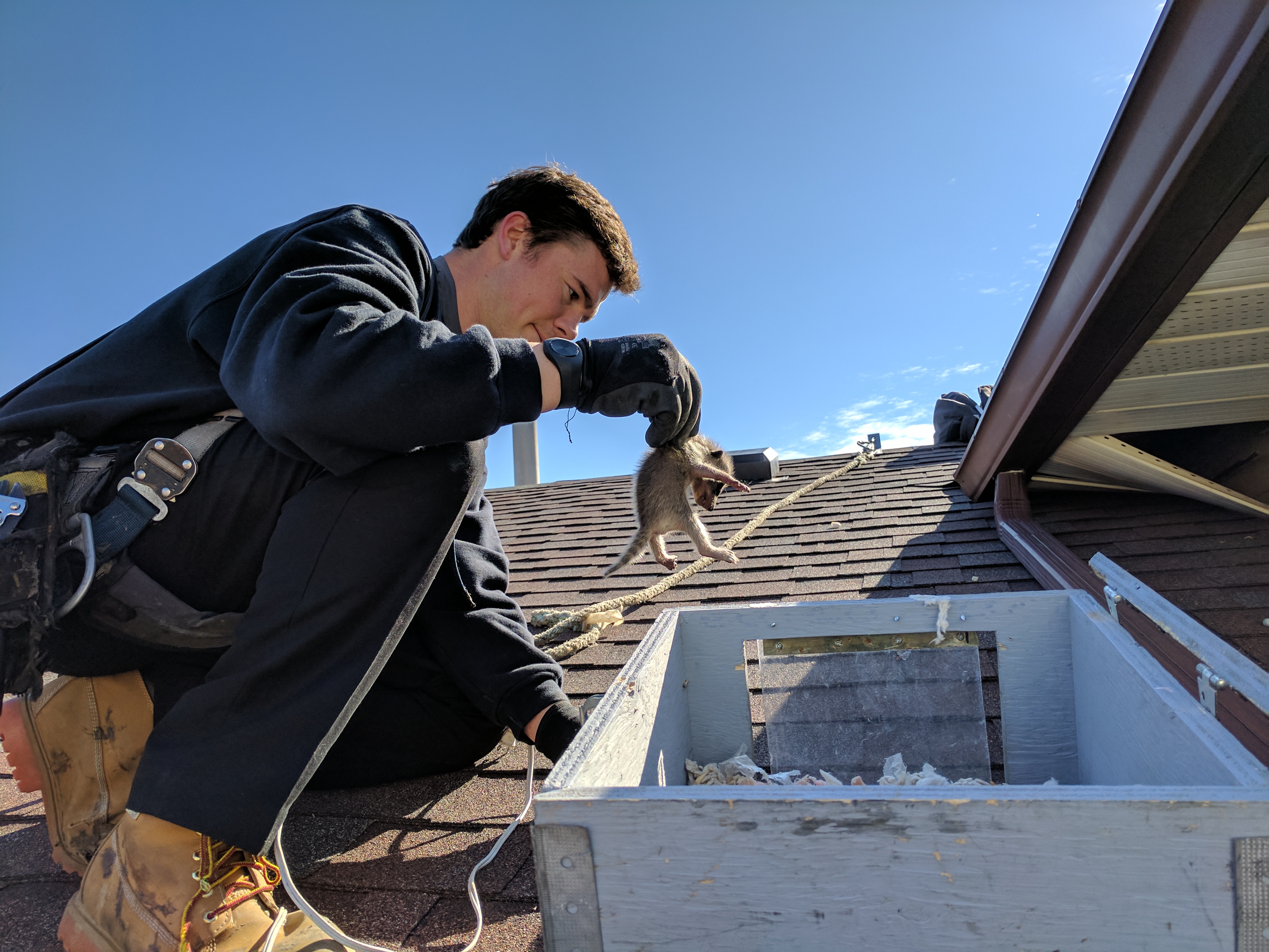 Kitchener Waterloo Humane Society Volunteer Wow Blog