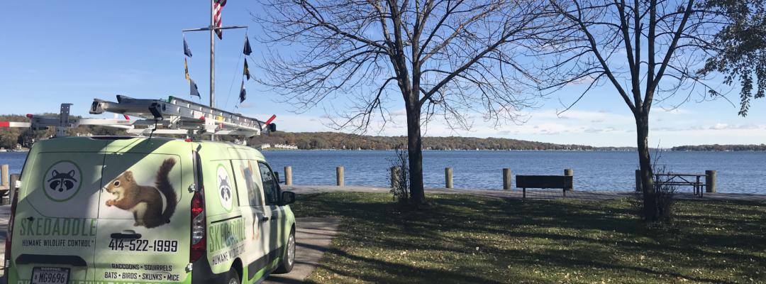 Skedaddle Lake Country/Waukesha Transit Van