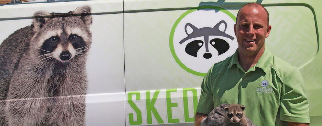 skedaddle humane wildlife skedaddle humane wildlife