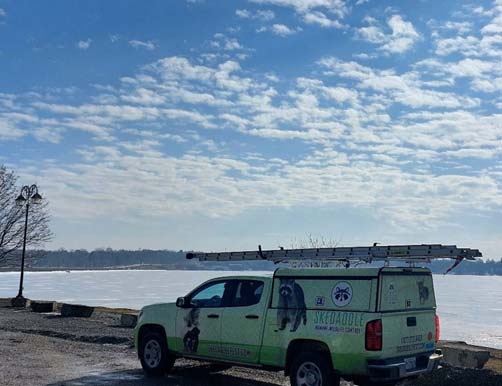 Skedaddle humane wildlife control truck