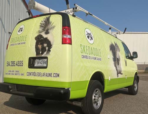 Skedaddle humane wildlife control car
